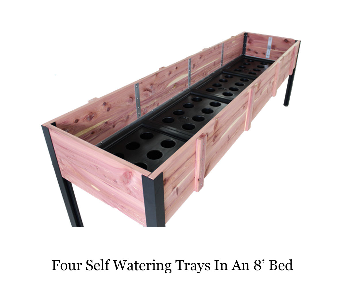 Raised Bed - 2' x 8' - Image 2