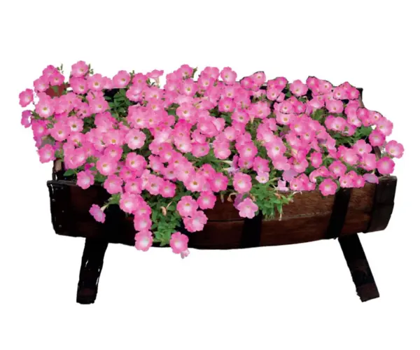 Half Barrel Planter
